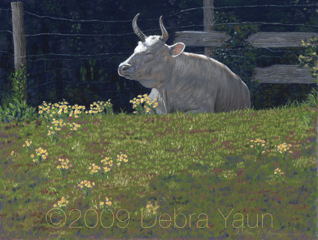 Cow basking